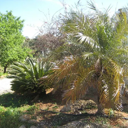 Quinta La Paz Olhão